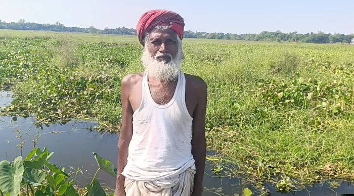 ধামরাইয়ে দিশেহারা কৃষক: পানি নিষ্কাশন না থাকায় শত শত হেক্টর জমি পানির নিচে