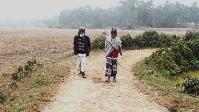 শীতের সকালে হাঁটা বা দৌড়ানোর পর কোন খাবার সবচেয়ে উপকারী?