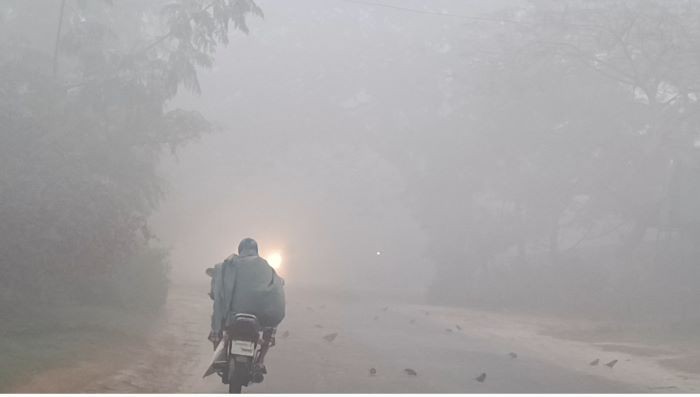 ঘন কুয়াশা আর হিমেল বাতাসে জীবননগর, হাসপাতালে বাড়ছে রোগীর চাপ