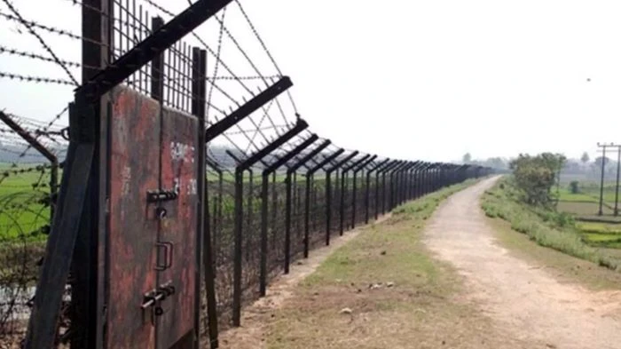 বিজিবির গুলিতে বড়লেখা সীমান্তে ভারতীয় চোরাকারবারি আহত