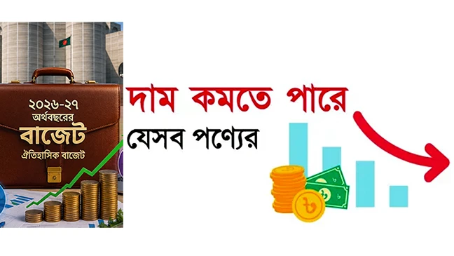 কমতে পারে যেসব পণ্যের দাম 