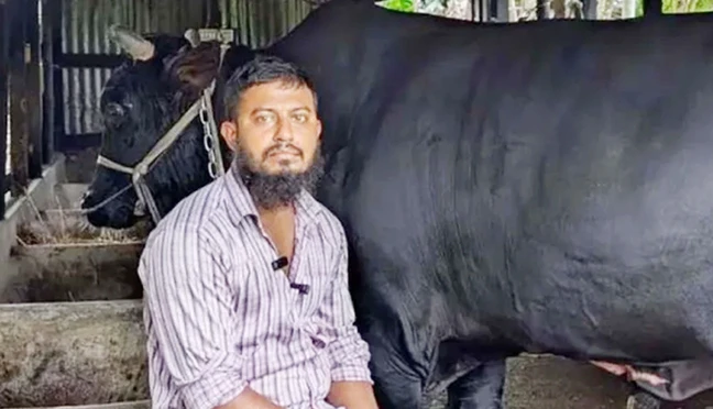 খালেদা জিয়াকে ‘কালো মানিক’ উপহার দিতে চাওয়া সেই সোহাগ মৃধা গ্রেপ্তার